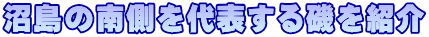沼島の南側を代表する磯を紹介